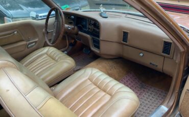 Amc-pacer-1978-custom-8
