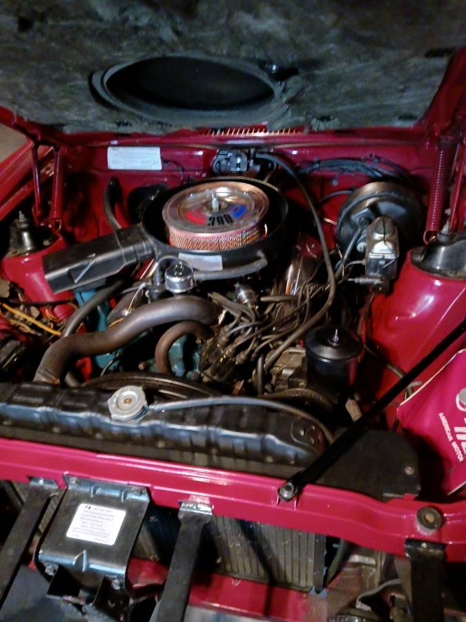 American-motors-amx-1970-red-3