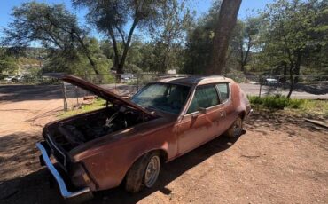 American-motors-gremlin-1974-custom-1