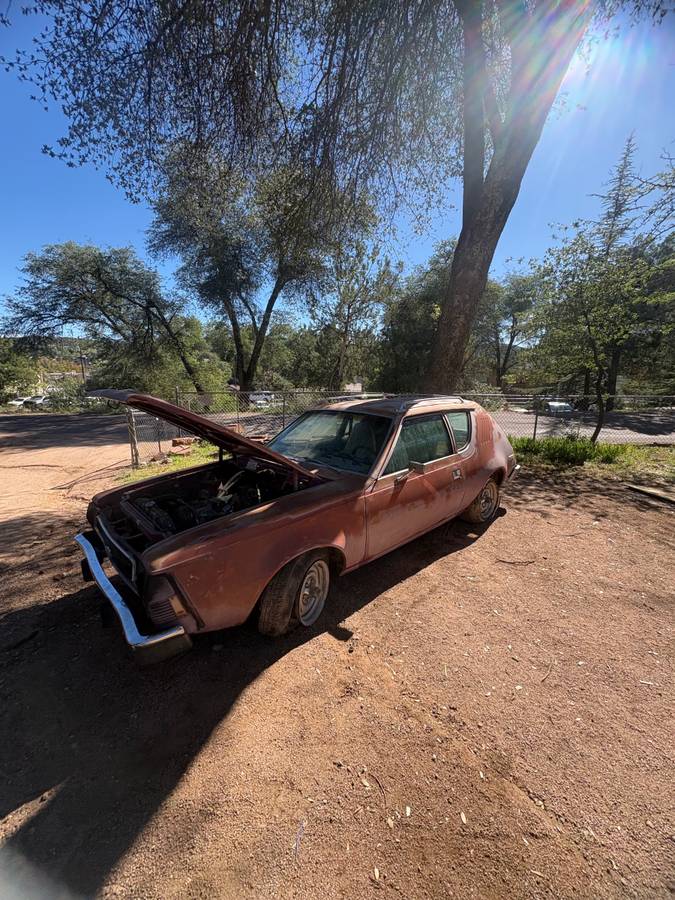 American-motors-gremlin-1974-custom-1