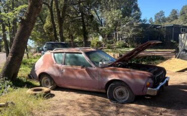American-motors-gremlin-1974-custom-12