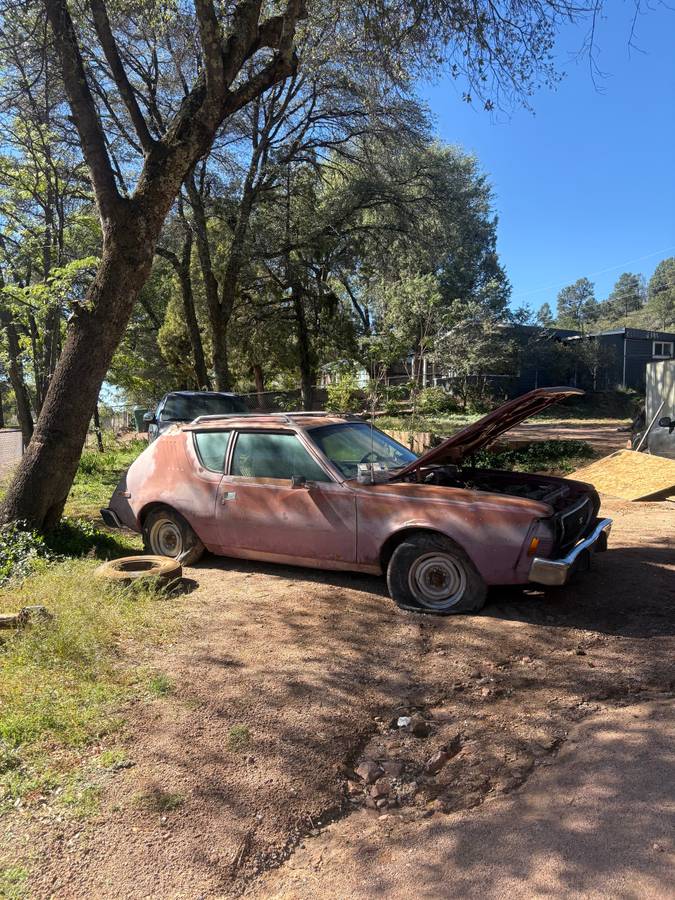 American-motors-gremlin-1974-custom-12