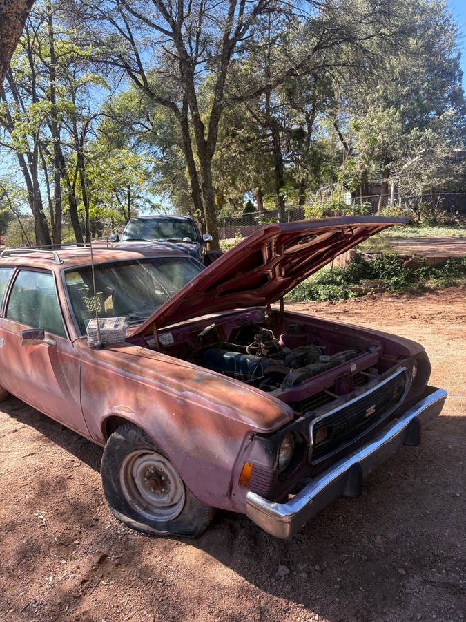 American-motors-gremlin-1974-custom-13