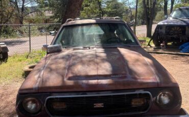 American-motors-gremlin-1974-custom