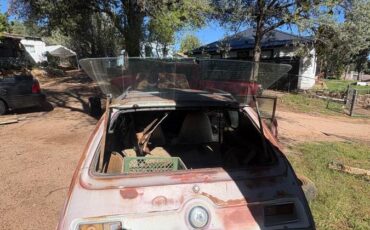 American-motors-gremlin-1974-custom-5