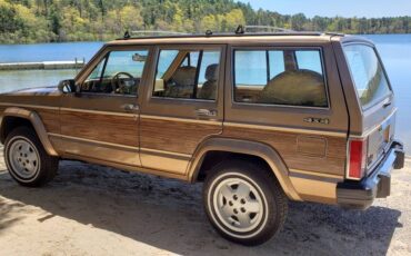 American-motors-jeep-1985-brown-2