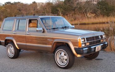 American-motors-jeep-1985-brown-3