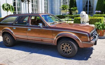 American-motors-jeep-1985-brown