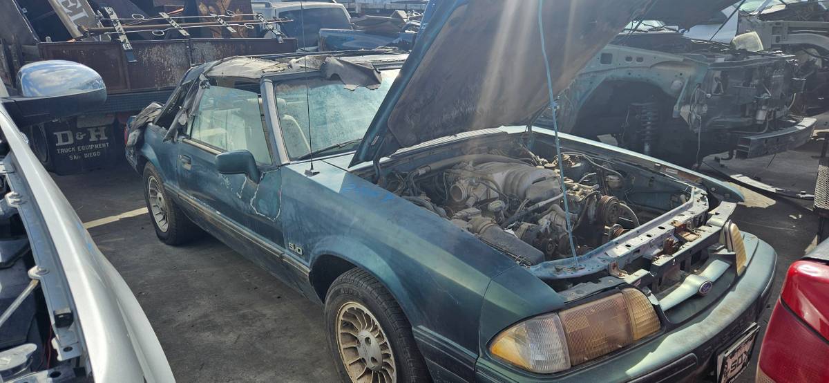 And-1965-mustangs-1990