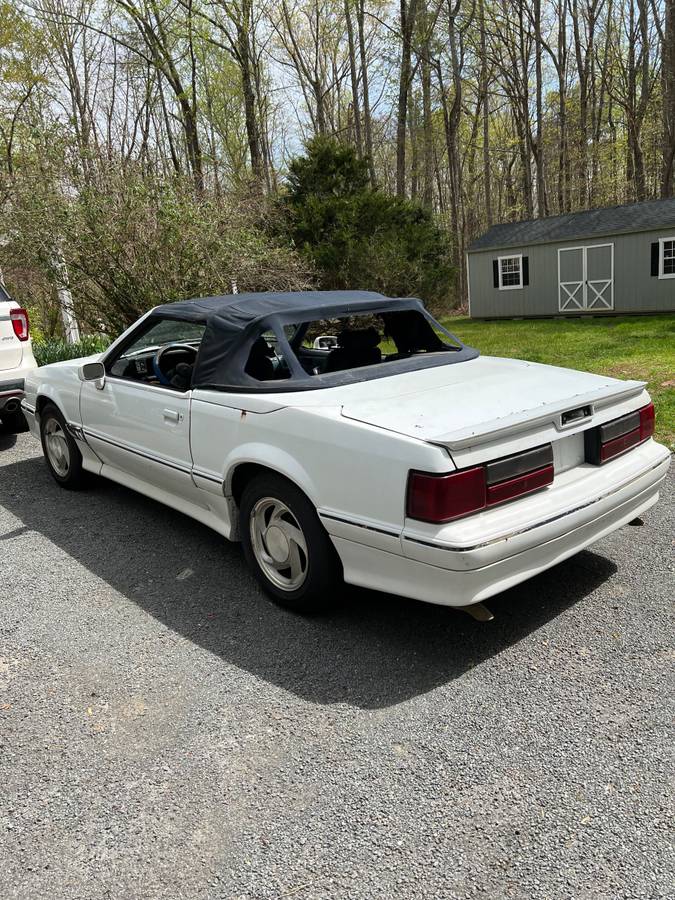 Asc-ford-mustang-1989-white-7