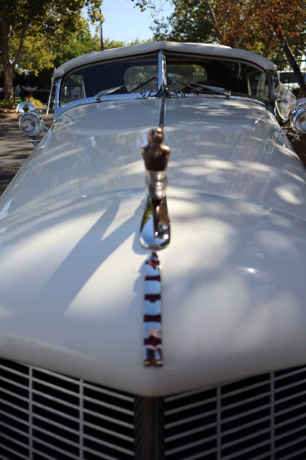 Auburn-boattail-speedster-1978-15