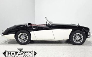 Austin-Healey-100-6-1959-Roadster-11