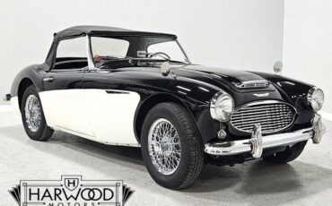 Austin-Healey-100-6-1959-Roadster-14