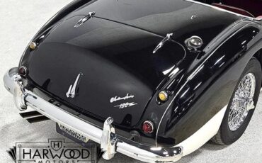 Austin-Healey-100-6-1959-Roadster-19