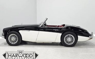 Austin-Healey-100-6-1959-Roadster-3