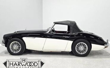 Austin-Healey-100-6-1959-Roadster-4