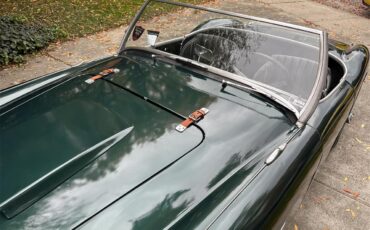 Austin-healey-100-4-1955-Green-Black-2