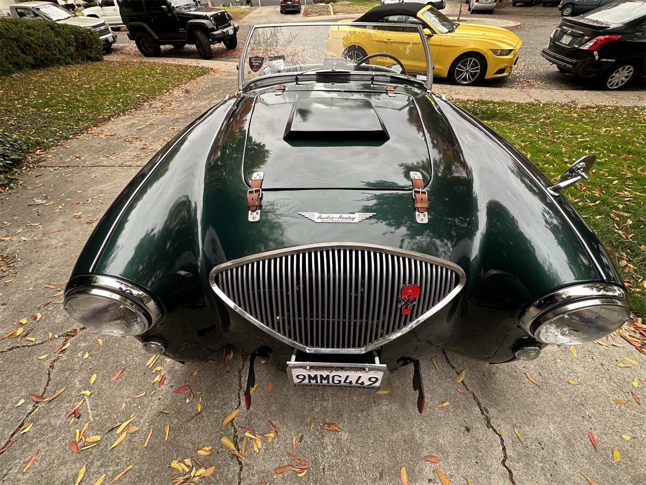 Austin-healey-100-4-1955-Green-Black-3