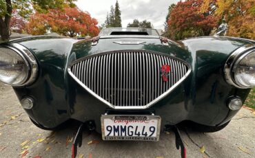 Austin-healey-100-4-1955-Green-Black-4