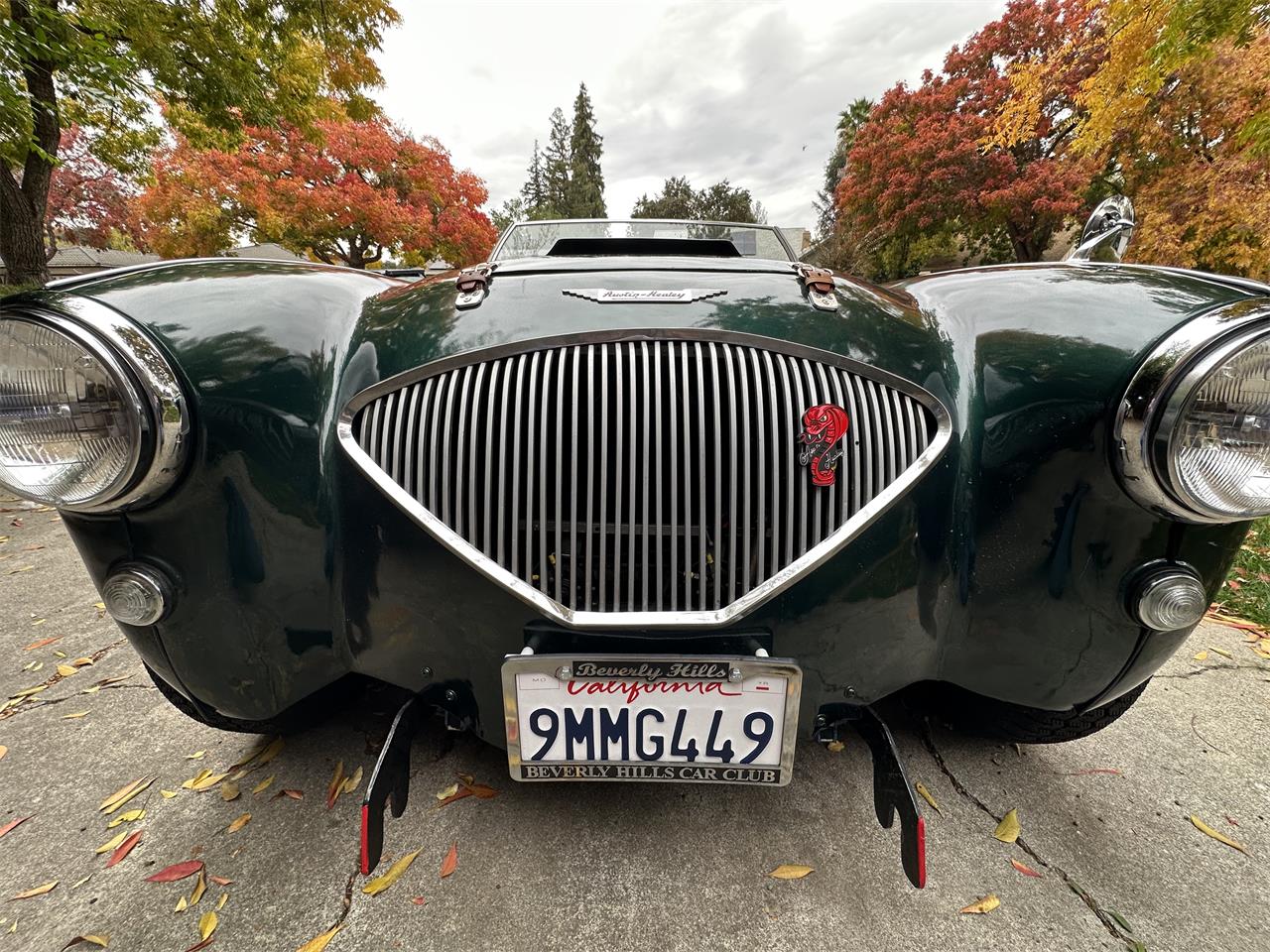 Austin-healey-100-4-1955-Green-Black-4