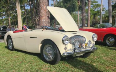 Austin-healey-100m-1954-Old-English-White-Red-8