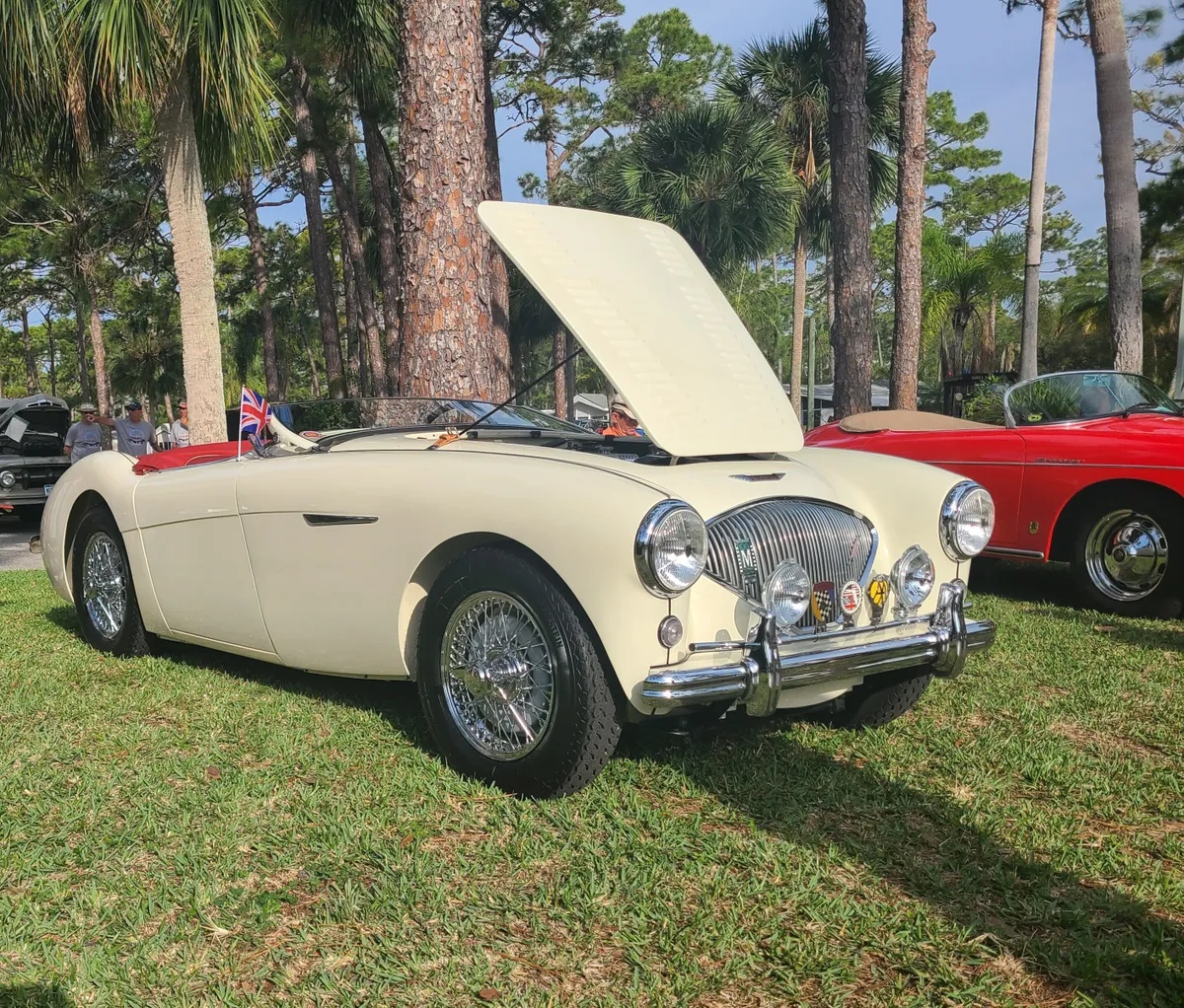 Austin-healey-100m-1954-Old-English-White-Red-8