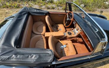Austin-healey-1965-24