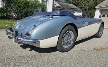 Austin-healey-3000-mk-ii-1963-Healey-Blue-Dark-Blue-12
