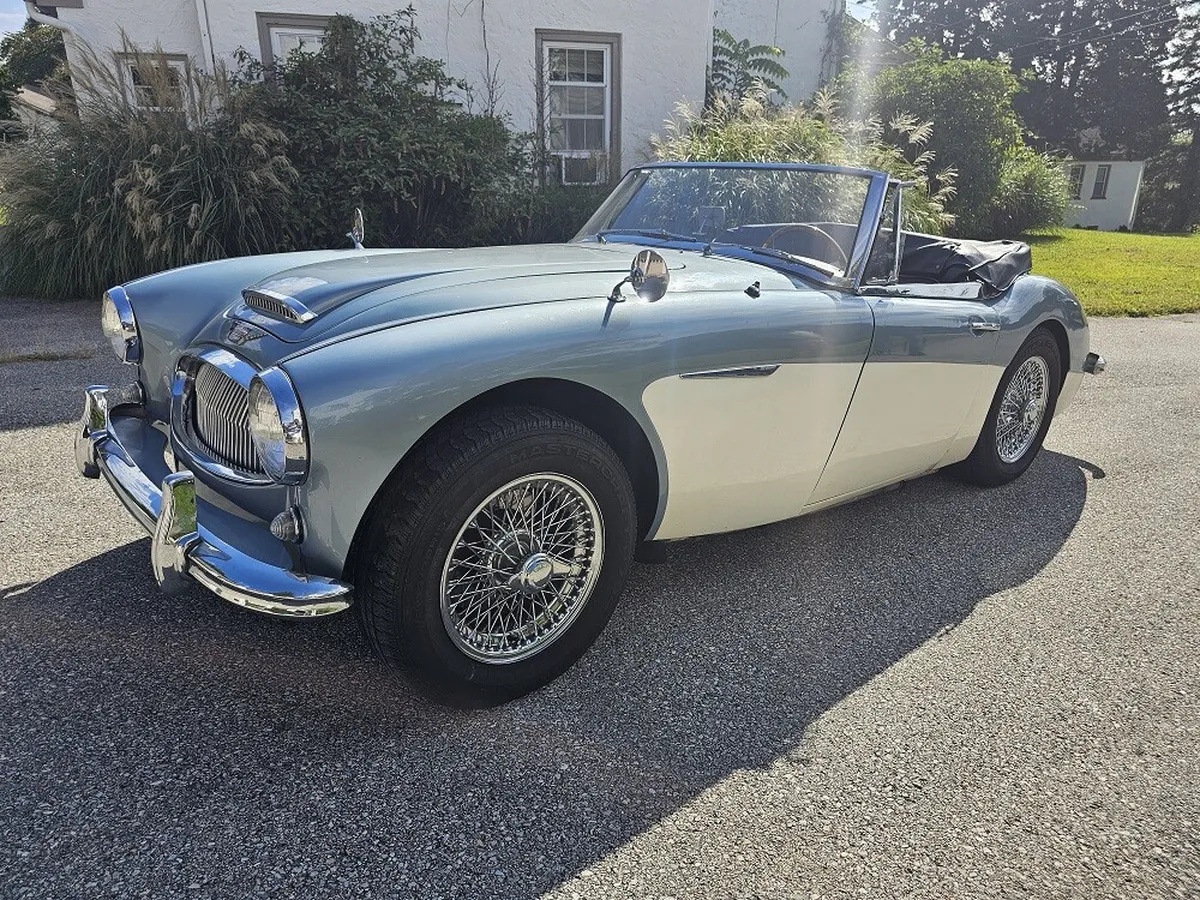 Austin-healey-3000-mk-ii-1963-Healey-Blue-Dark-Blue-17