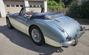 Austin-healey-3000-mk-ii-1963-Healey-Blue-Dark-Blue