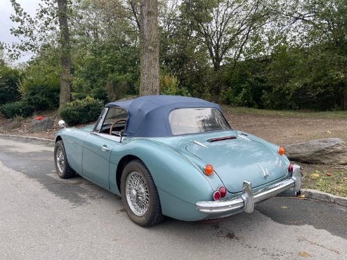 Austin-healey-3000-mk-iii-1967-Blue-Blue-3