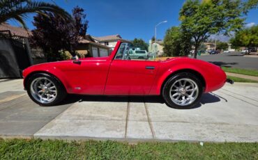 Austin-healey-3000gt-sebring-1976-red-12
