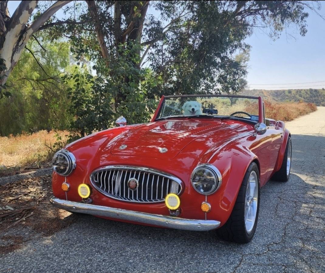 Austin-healey-3000gt-sebring-1976-red-8