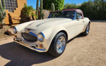Austin-healey-sebring-1989-white-22