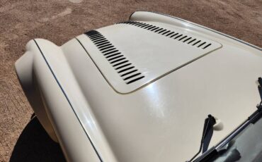 Austin-healey-sebring-1989-white-23
