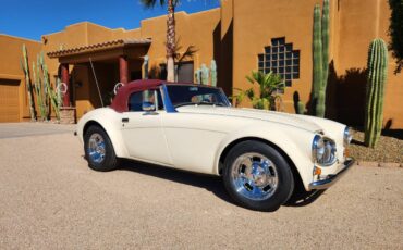 Austin-healey-sebring-1989-white-3
