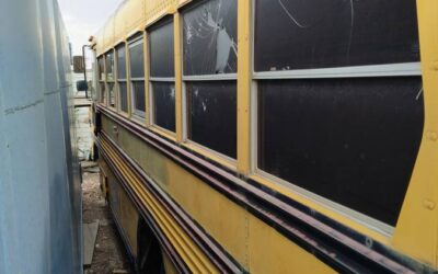 Blue bird bus 1989