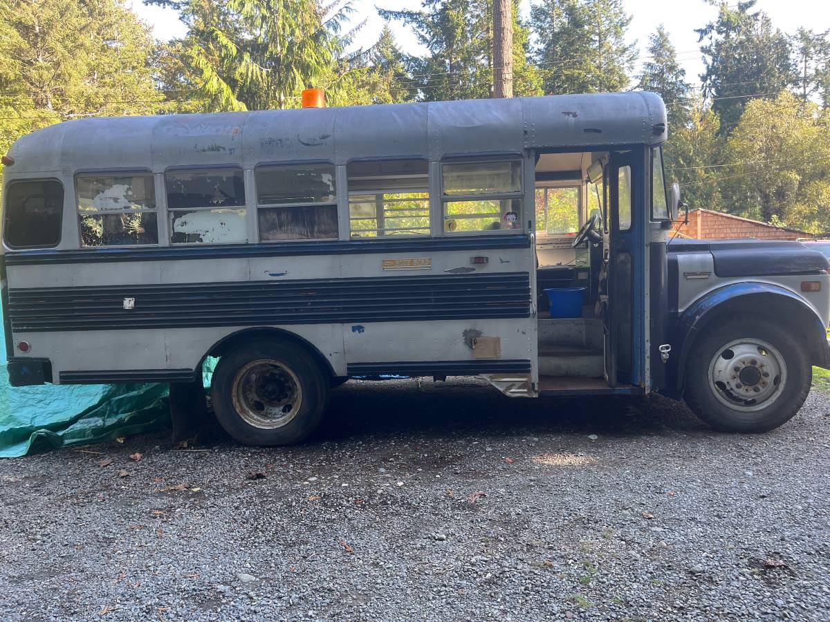 Bluebird-1969