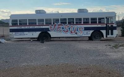 Bluebird bus 1991
