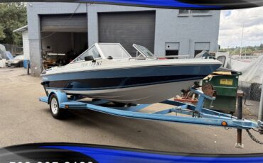 Bluewater-blazer-16-3.0-4cyl-120hp-omc-cobra-outd-1986-blue-11