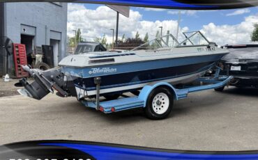 Bluewater-blazer-16-3.0-4cyl-120hp-omc-cobra-outd-1986-blue-27