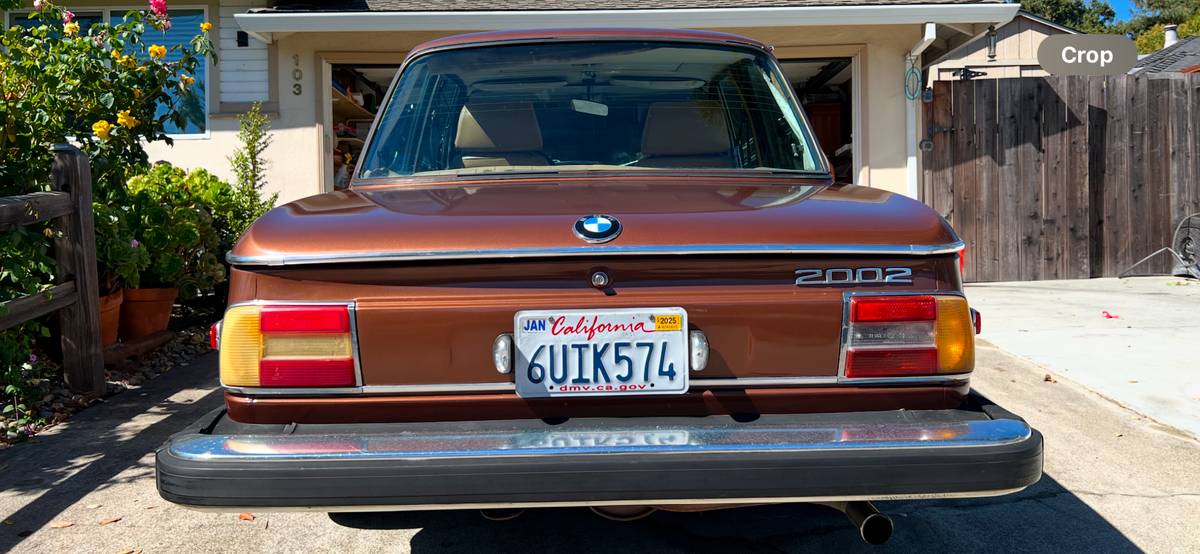 Bmw-2002-1974-brown-8
