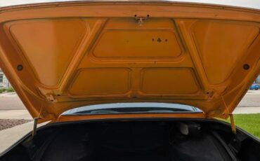 Bmw-2002-1976-Orange-Black-Vinyl-18
