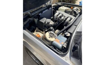 Bmw-318is-1991-Metallic-Silver-Gray-Black-8