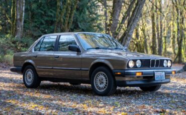 Bmw-325e-1986-brown-5