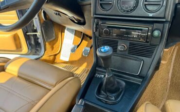 Bmw-5-series-1980-Arctic-Blue-Tan-18