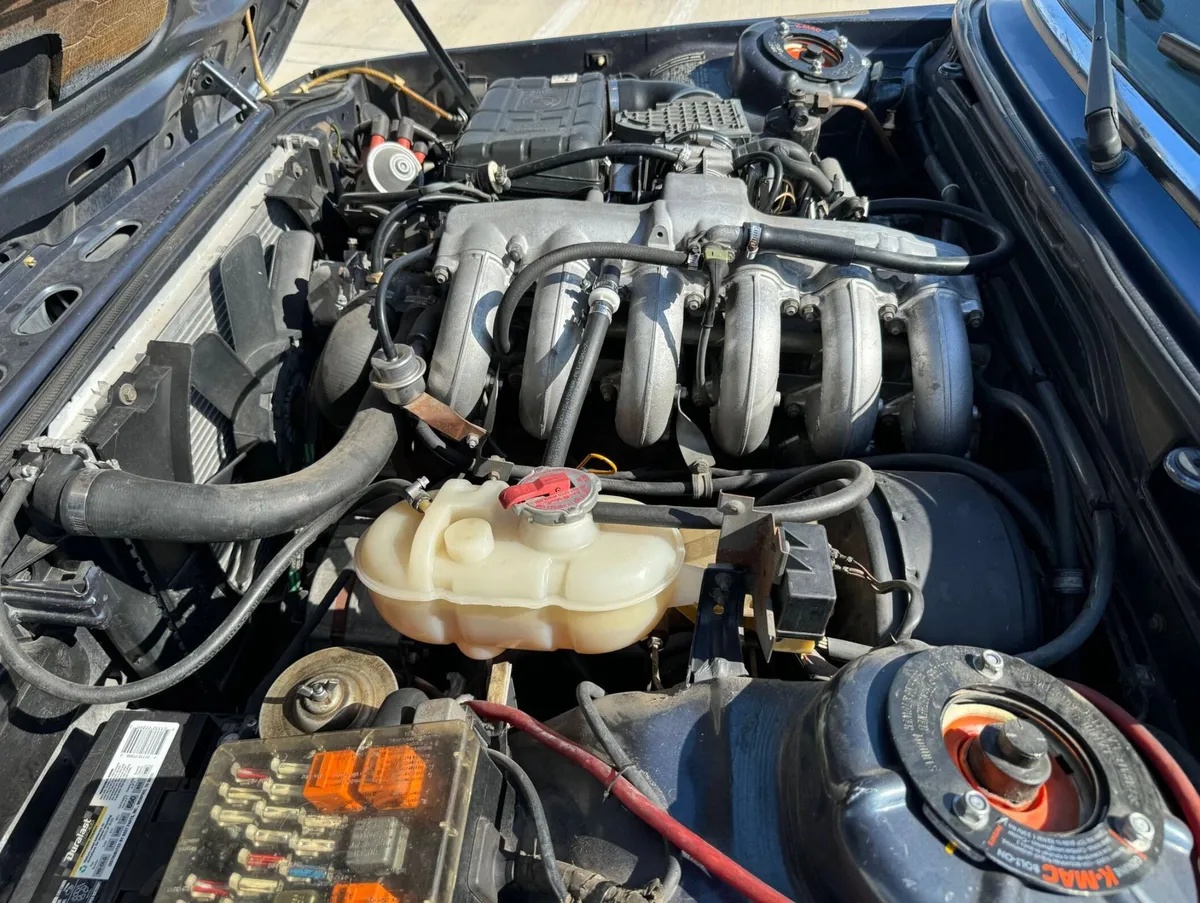 Bmw-5-series-1980-Arctic-Blue-Tan-19