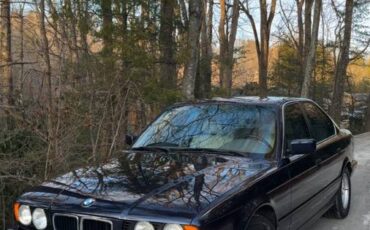 Bmw-530i-1994-blue