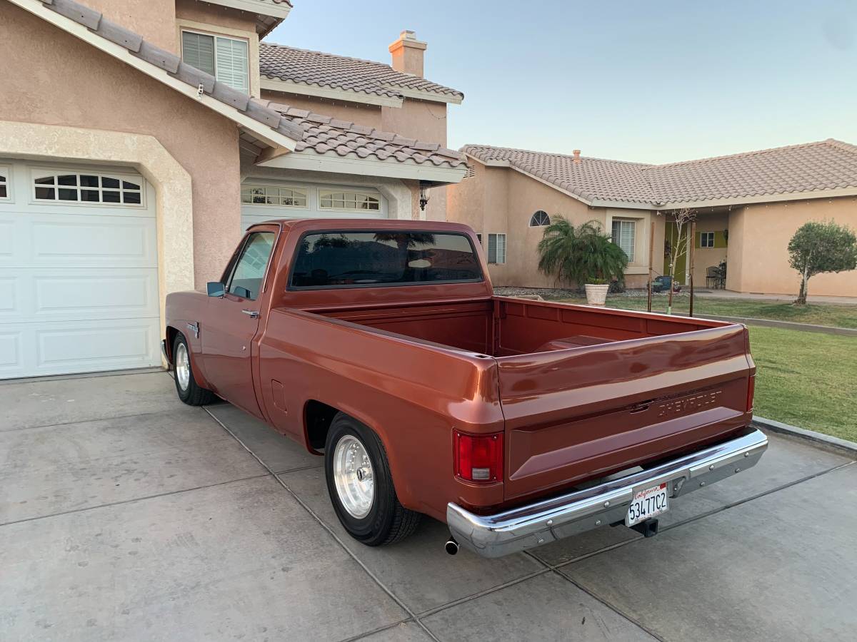 Brown-1986-brown-4
