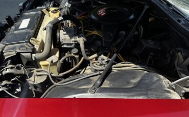 Buick-Electra-225-1973-Red-White-5